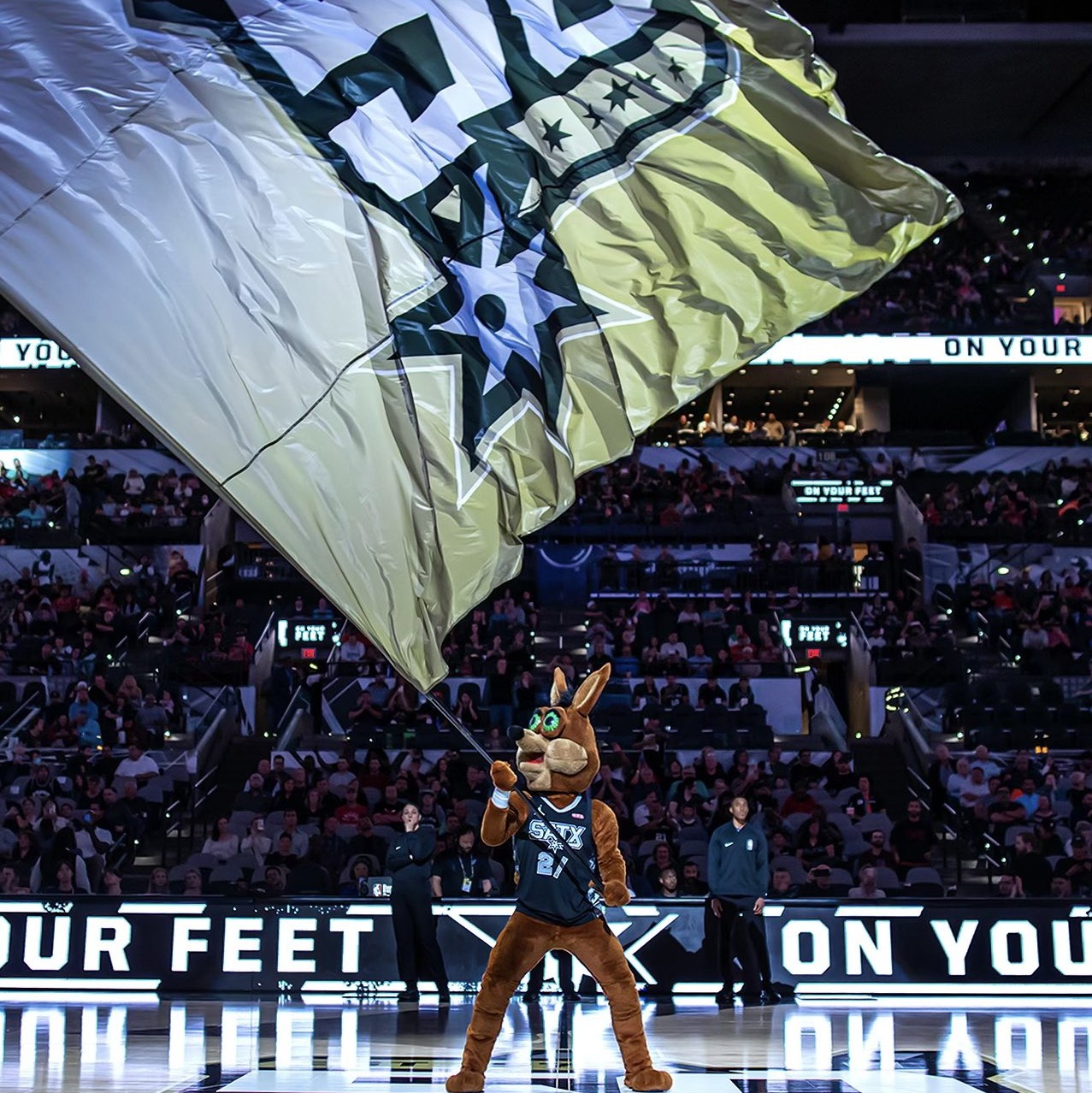 仅是对他的 仅是对他的